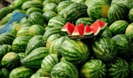 济宁吃瓜金乡网红,揭秘金乡美食与网络传播的魅力”